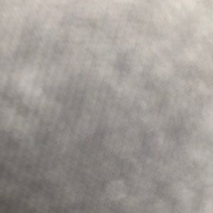 Meet your Posher, Kyleigh